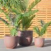 Garden Patio Faux Cement Pattern Planters Set of 3 with Drainage Holes