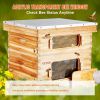 VEVOR Bee Hive 20 Frame Bee Hives Starter Kit, Beeswax Coated Cedar Wood, 1 Deep + 1 Medium Bee Boxes Langstroth Beehive Kit