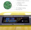 Egg Incubator, 48 Eggs Digital Incubator with Fully Automatic Egg Turning and Humidity Control 80W Clear Hatching for Chicken Duck Eggs